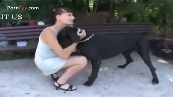 หมาเย็ดหีสาวสวย หมา วีดีโอ / Zoo Sex Porn Tube / ที่นิยมมากที่สุด หน้า 1